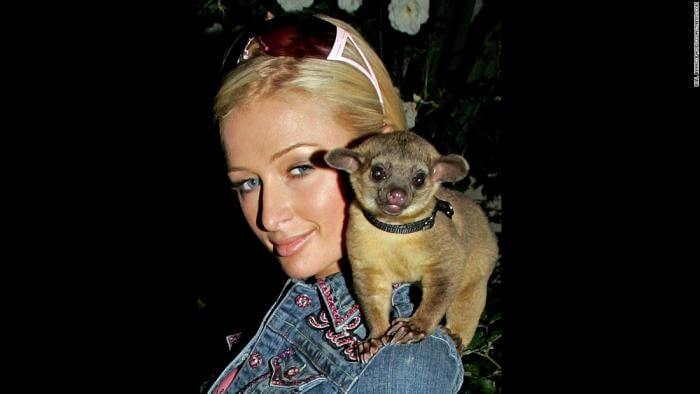 Top 11 Celebrities Who Keep Exotic Pets