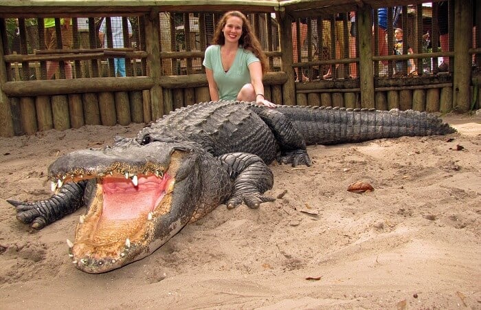 7 Exotic Animals That Are Legal To Own But You Shouldn't Keep As Pets