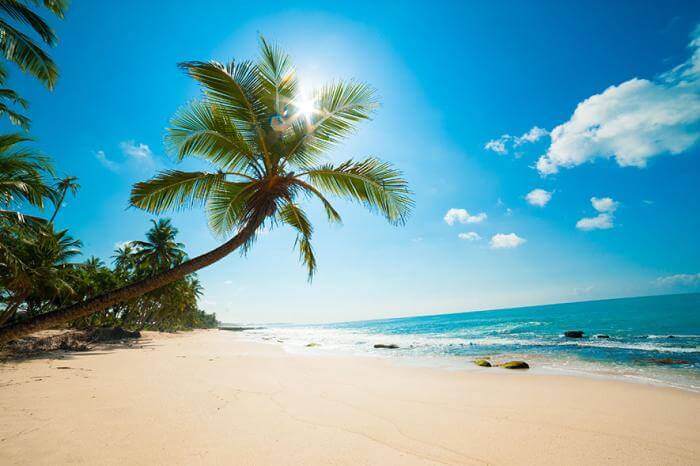 Top 12 New Years Destinations